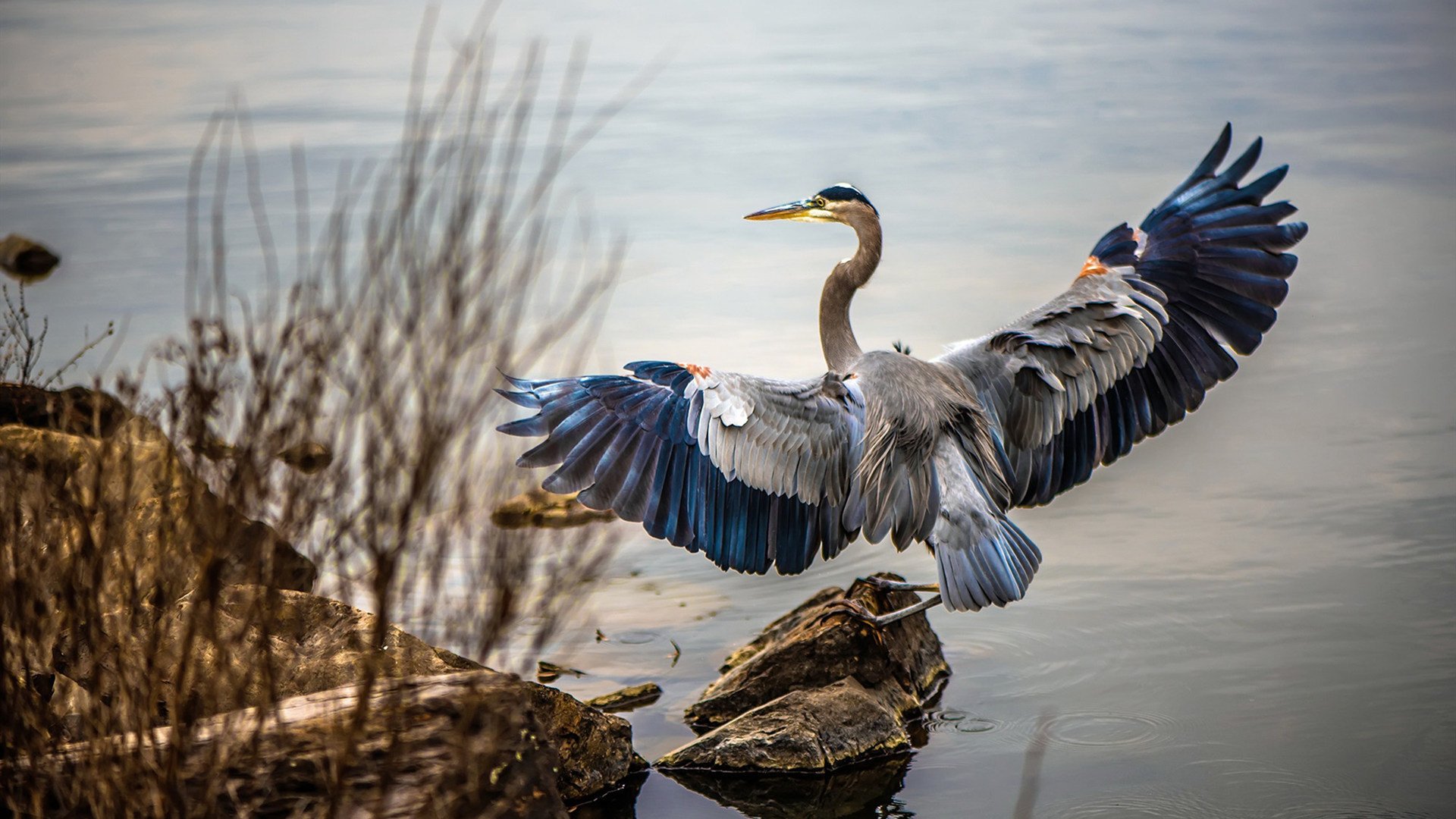 Palmer决赛冷静表现彰显大赛经验