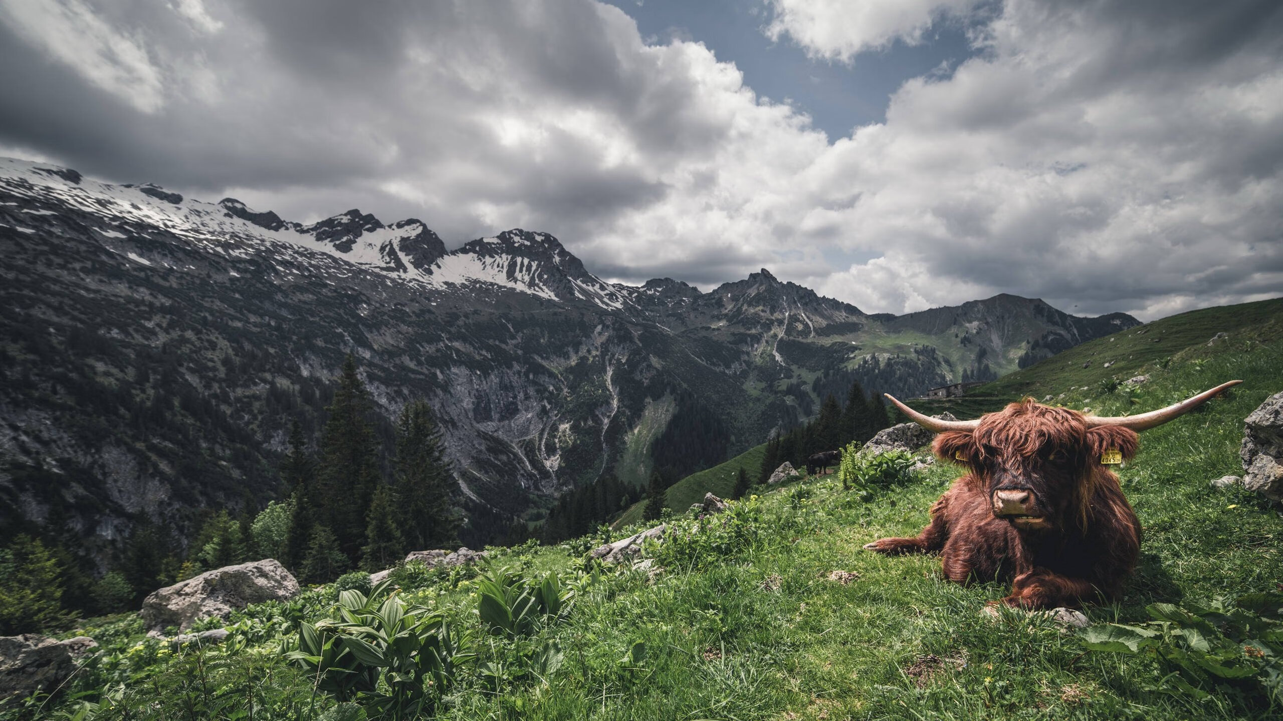 明星球员伤愈复出状态回升明显,足球明星受伤