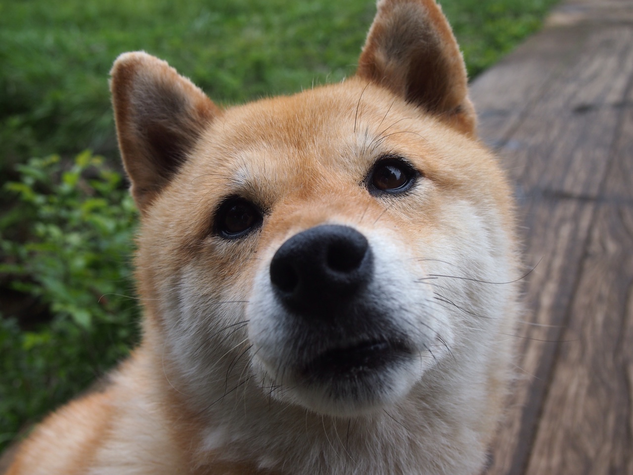 开云体育-奇库诺娃用沉稳节奏掌控比赛节奏，库布奇诺