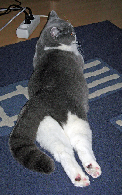 开运体育电脑版-西甲高潮迭起：超级巨星演绎巅峰战役，西甲经典比赛